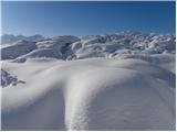 Koča pri Savici - Planina Lopučnica